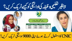 Check Your 9000 Benazir Taleemi Payment with Your CNIC