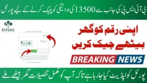BISP web portal